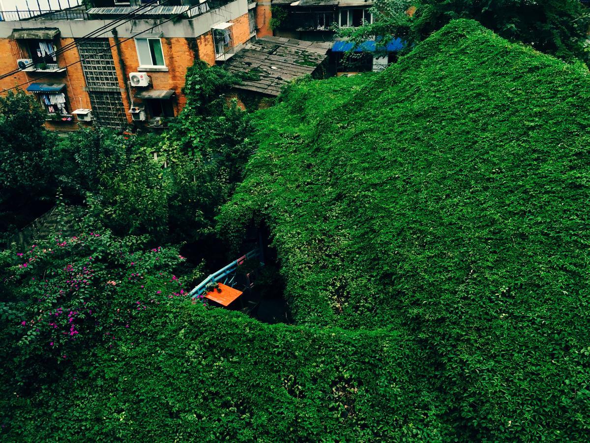 Hello Chengdu International Youth Hostel Luaran gambar